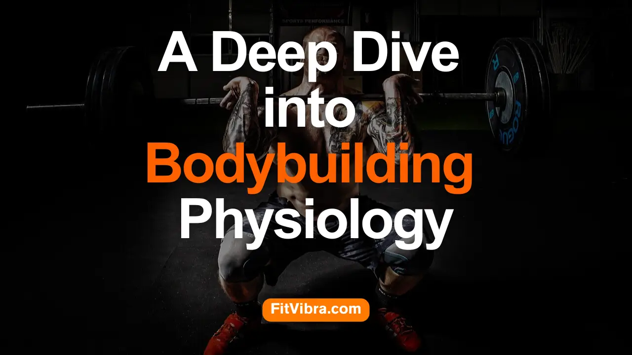 A Deep Dive into Bodybuilding Physiology